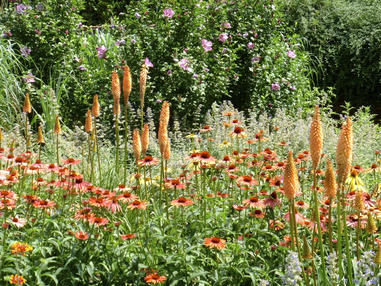 ジーキルの美しい庭 : 花の庭の色彩設計 庭の色彩計画（カラースキーム）